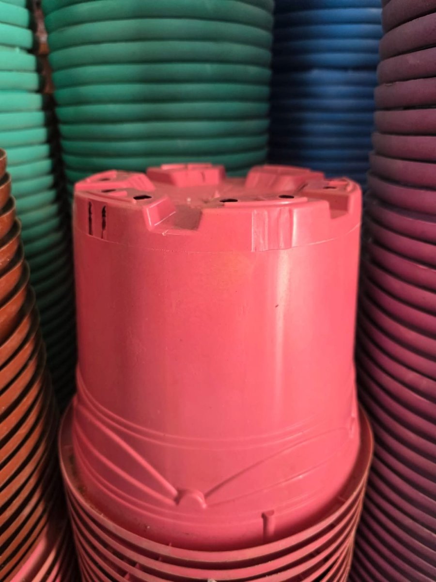 دلو 7 لتر ملون