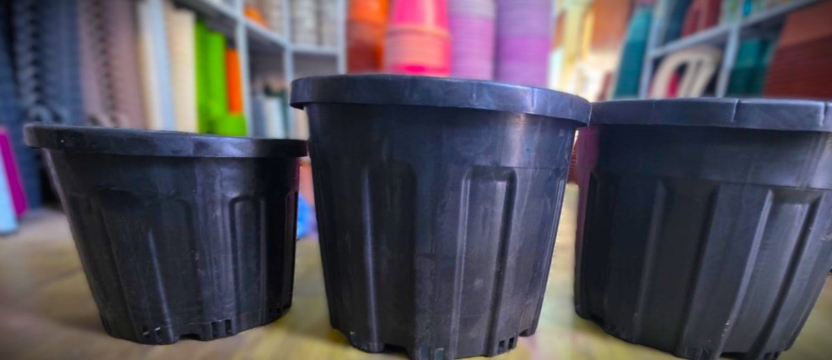 قوار ذات احجام كبيرة