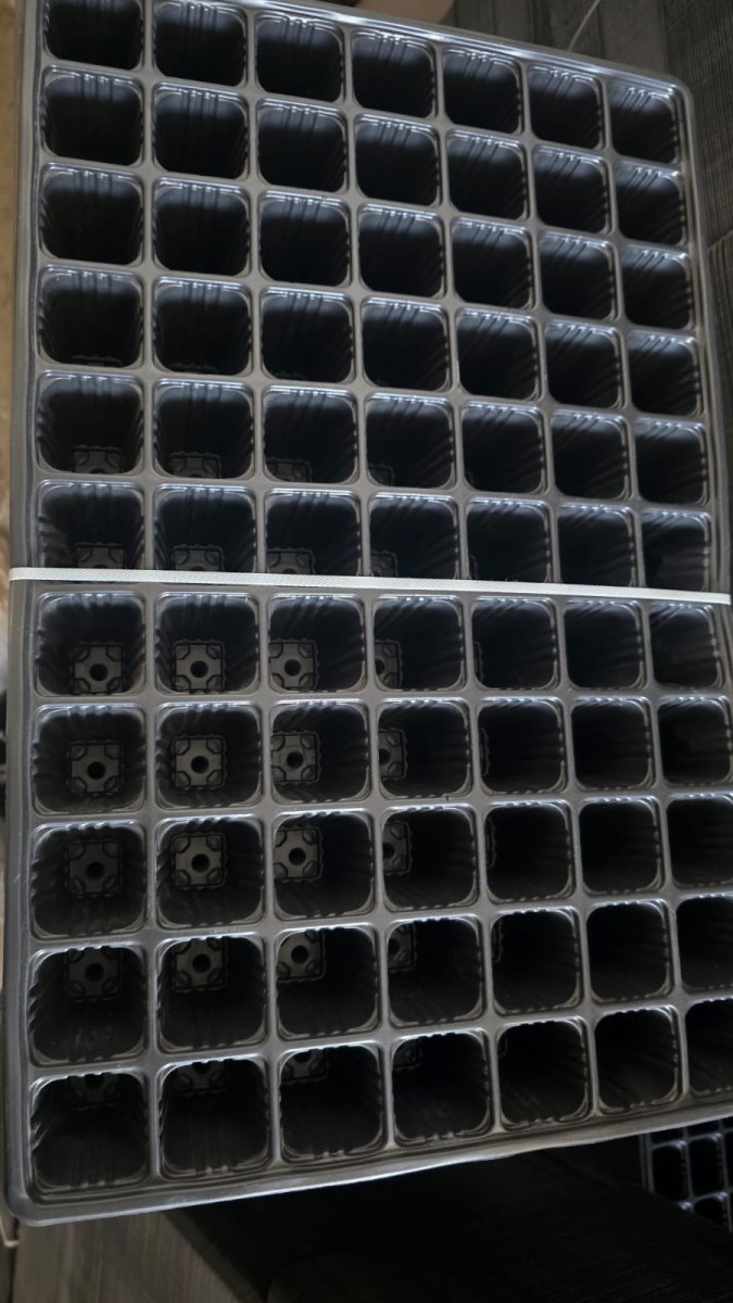 صواني بلاستك 77 خلية