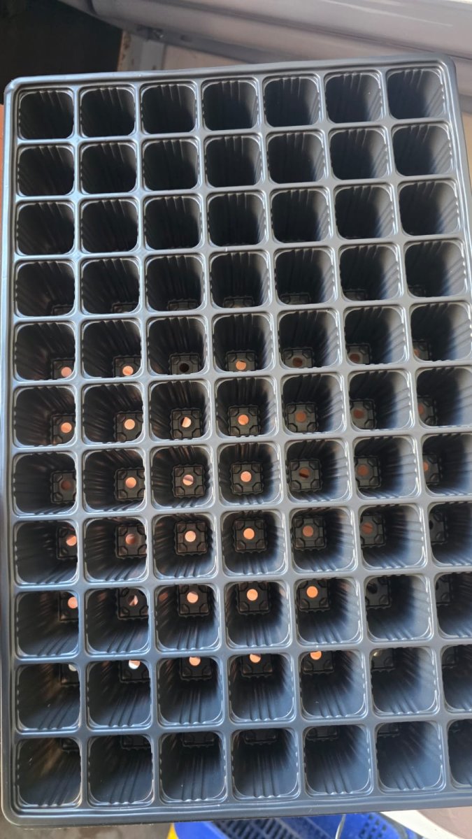 صواني بلاستك 77 خلية