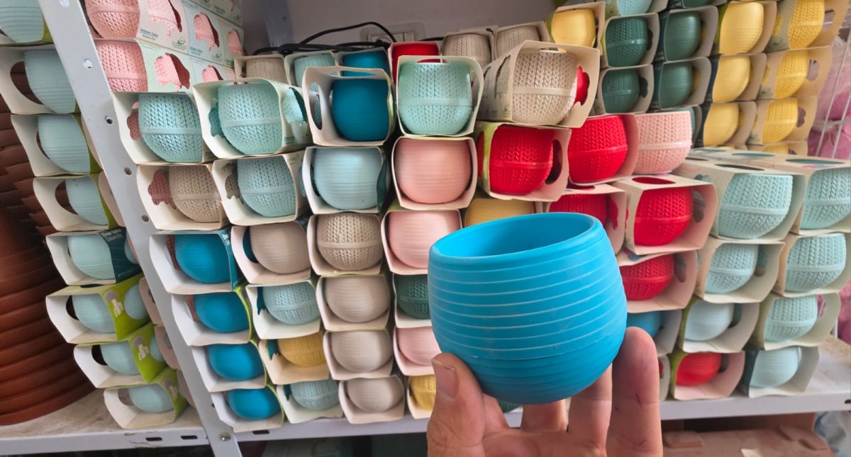 قوار صبار  حجم صغير عدة الالوان