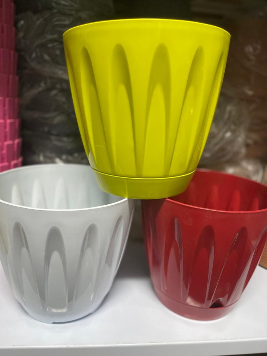 قوار توليب ملون