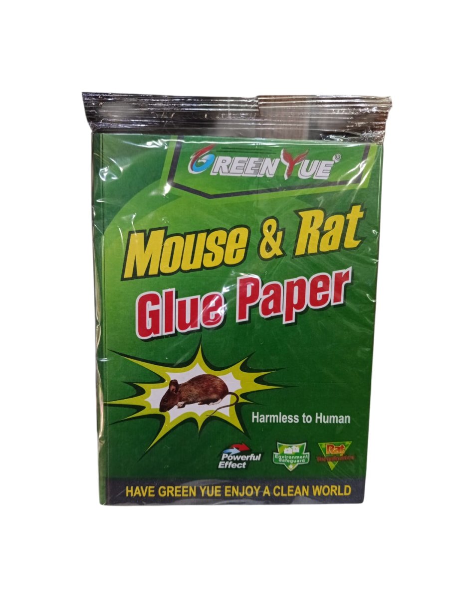 لاصق فئران دفتر حجم  16/21